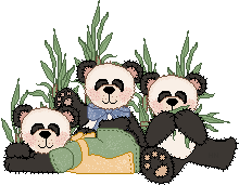 pandas